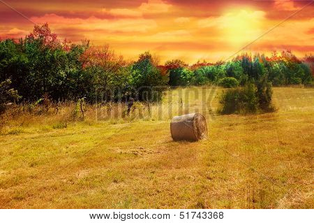 Hayfield At Sunset