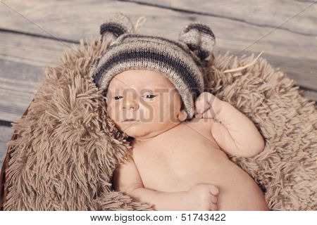 Teddy Bear Baby