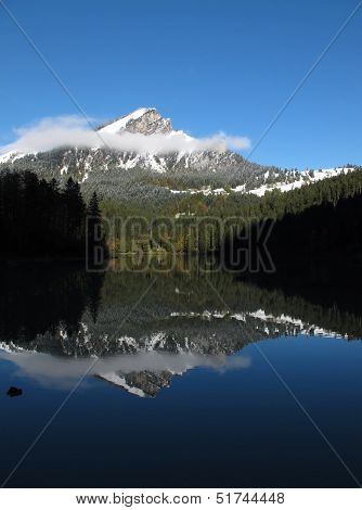 Autumn Scene At Lake Obersee