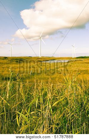 Toned Long Grass And Bogland With Wind Turbines