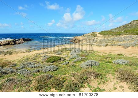 Argentiera Coastline