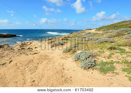 Argentiera Seashore