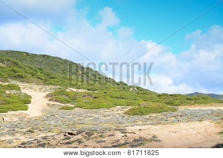 Blue Sky And Green Hill