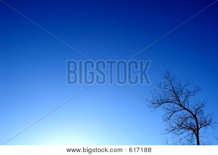 Blue Skies