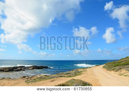 Dirt Road And Sea