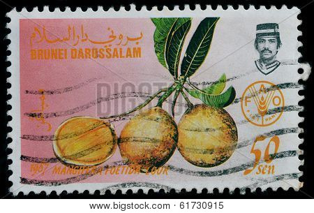 Brunei Darussalam Postage stamp