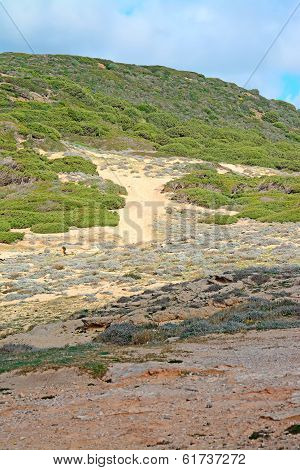 Green And Yellow Hill