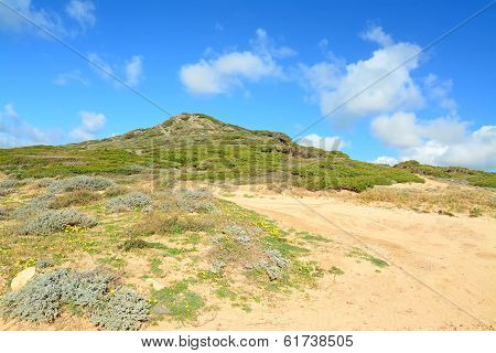 Green Hill And White Clouds