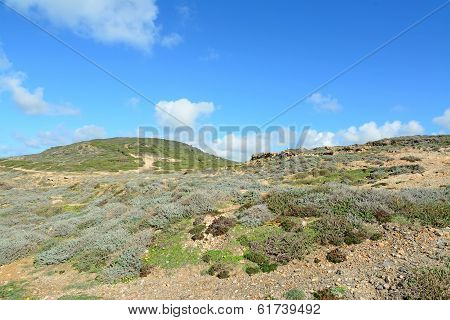 Green Hill