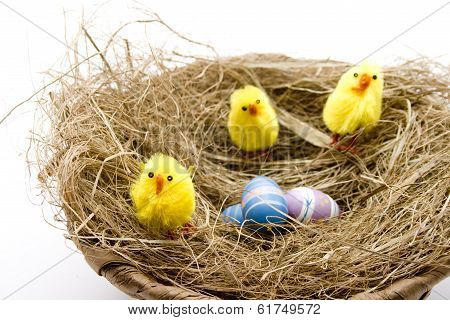 Easter fledglings with wooden eggs