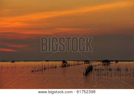 Fisherman House At Bangsai
