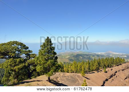 Gran Canaria Landscape