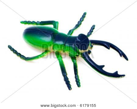Beetle lelu