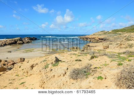 Sand And Rocks