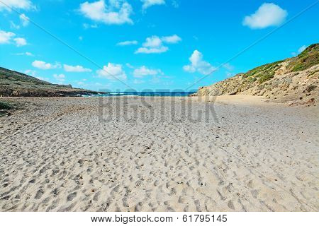 Sandy Shore