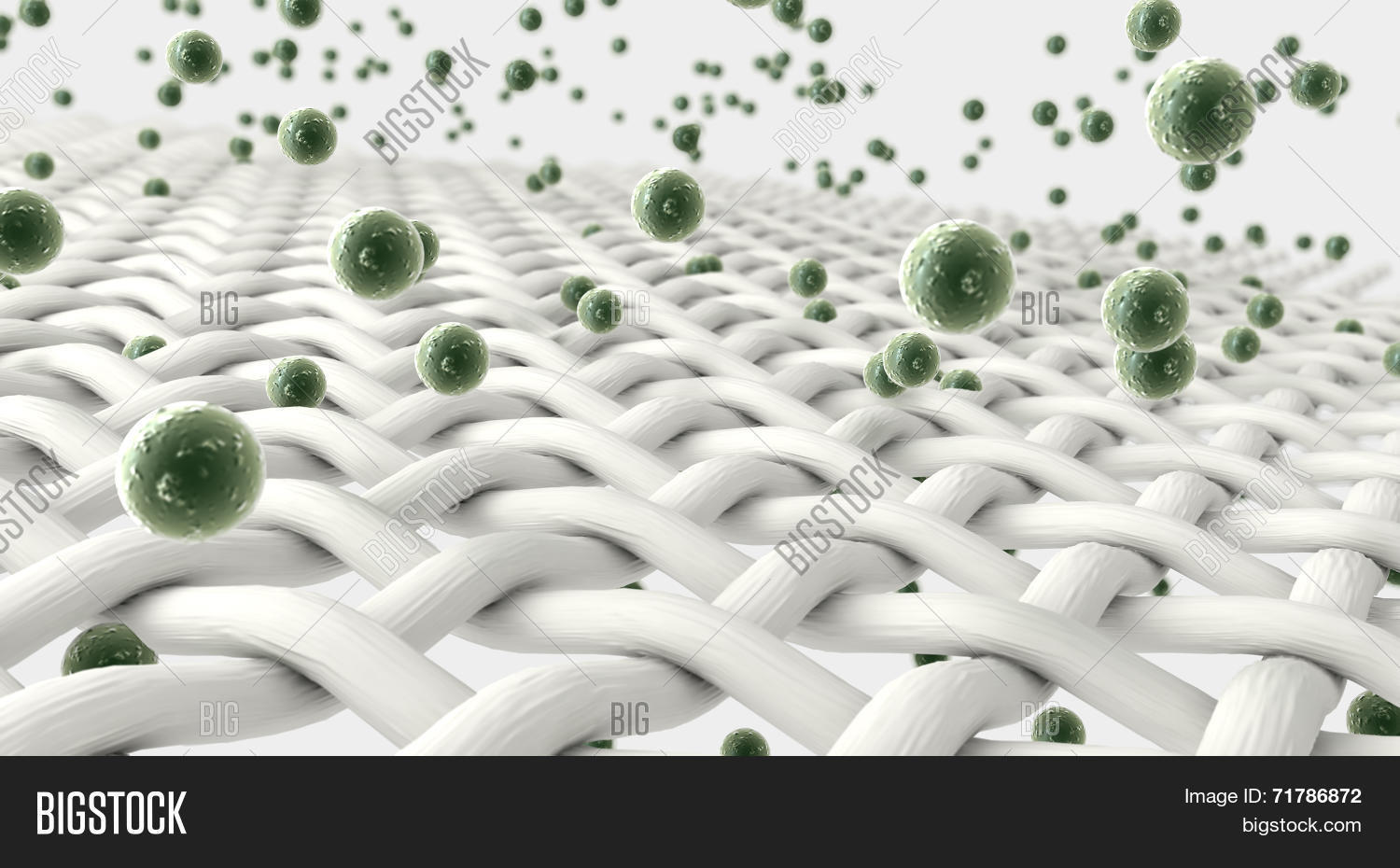 Micro Fabric Germ Image & Photo (Free Trial) Bigstock