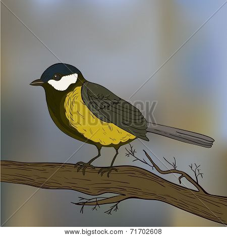 Bird on tree
