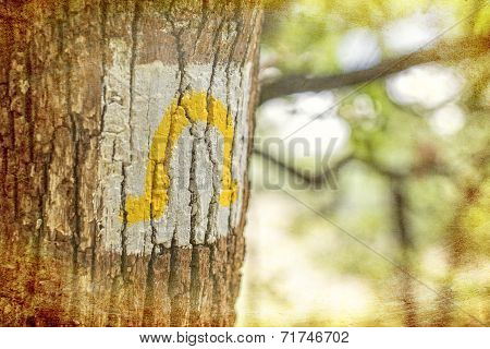 Hiking trail marking