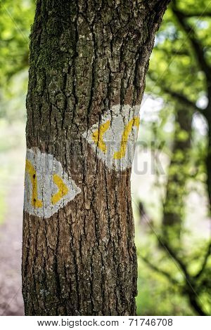 Hiking trail marking