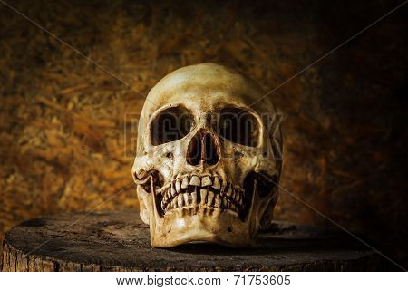 Still life with ideas about Art skulls