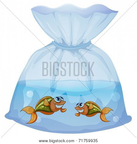 Illustration of a pouch with fishes on a white background