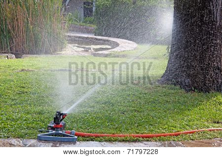 Watering The Lawn On A Hot Day