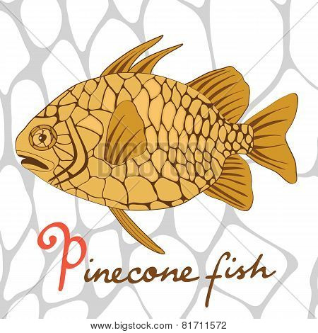 Pinecone fish