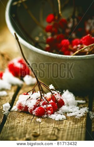 Fresh Berries Of A Guelder-rose In A Glass Cup On A Wooden Table.