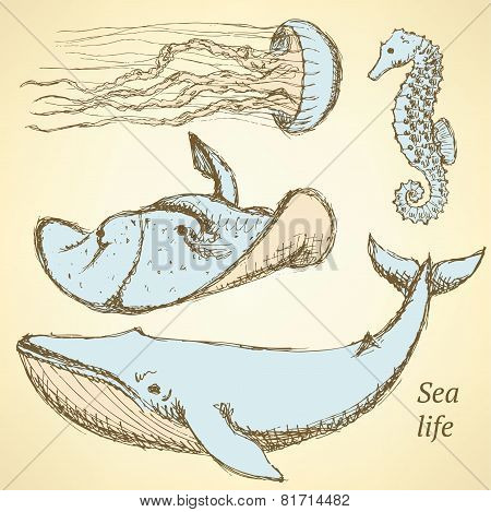 Sketch Sea Creatures In Vintage Style