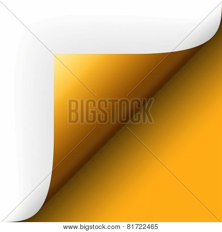Paper Lower Right Corner