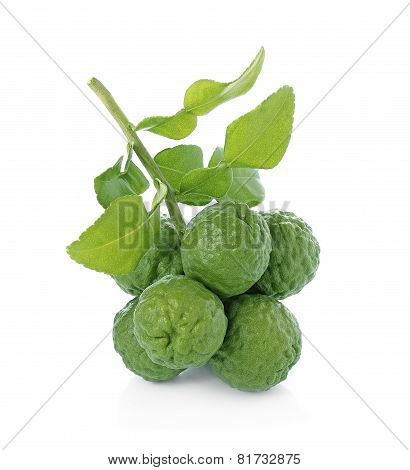 Citrus Hystrix, Bergamot Fruit,  Kaffir Lime,  Leech Lime  Isolated On White Background
