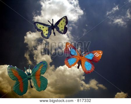 Farfalle finti e cielo 2