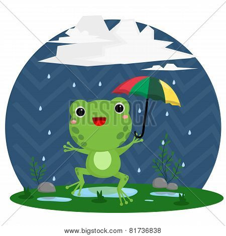 Rain And Frog