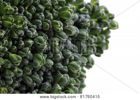Green Broccoli Vegetable Texture