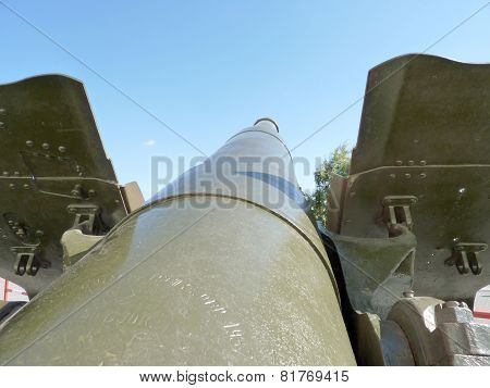 Gun Trunk