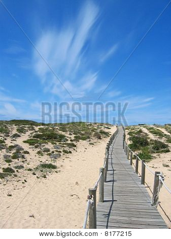 Puinen boardwalk
