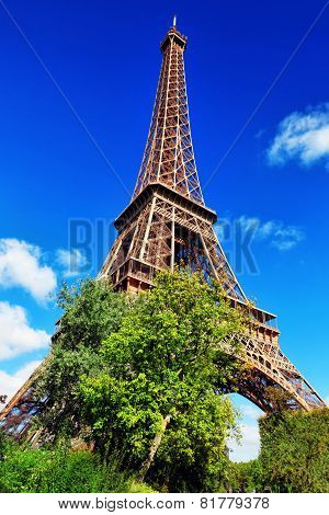 Eiffel Tower -view From The Champs De Mars.paris,france