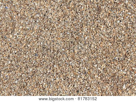 Texture Of Beach Sea Sand.