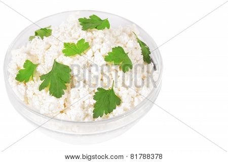 Fresh Cottage Cheese (curd) In Glass Bow, Isolated On White Background .