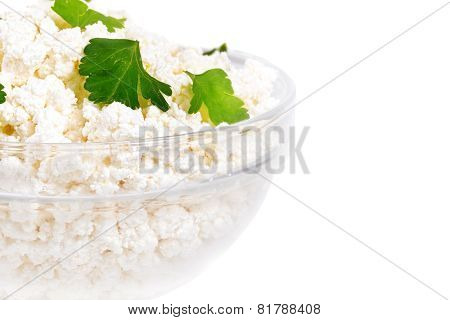 Fresh Cottage Cheese (curd) In Glass Bow, Isolated On White Background .