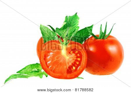 Lush Tomatos With Green Leafs. Isolated