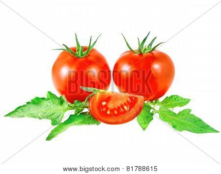 Lush Tomatos With Green Leafs. Isolated