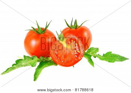Lush Tomatos With Green Leafs. Isolated