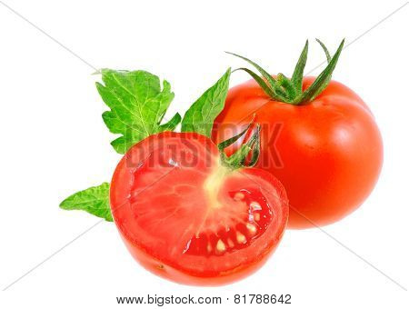 Lush Tomatos With Green Leafs. Isolated