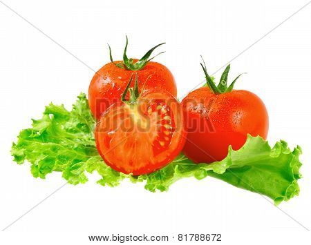 Lush Tomatos With Green Leafs. Isolated