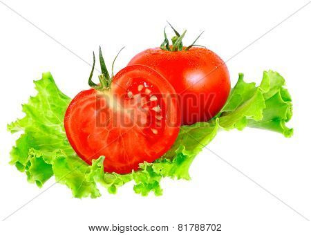 Lush Tomatos With Green Leafs. Isolated
