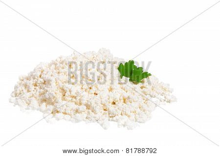 Fresh Cottage Cheese (curd) Heap With Parsley, Isolated On White Background .