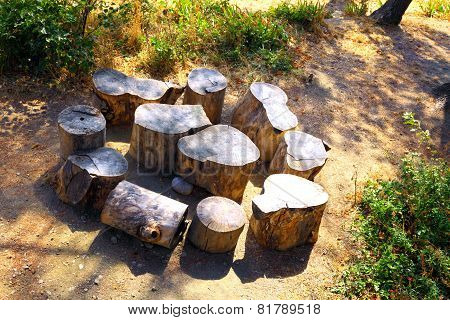 Tree stums