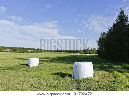 White balls of silage on a meadow.