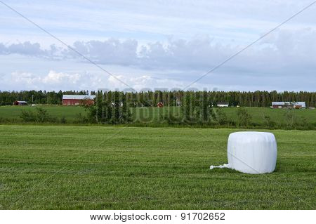 Farmland in evening lit, harvest completed.